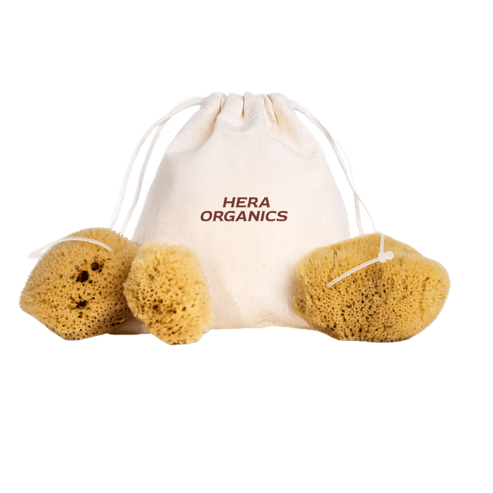 HERA ORGANICS Kit de démarrage éponge menstruelle